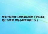 梦见小蛇是什么意思周公解梦（梦见小蛇是什么意思 梦见小蛇意味着什么）
