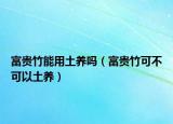 富贵竹能用土养吗（富贵竹可不可以土养）