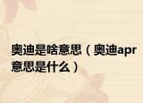 奥迪是啥意思（奥迪apr意思是什么）