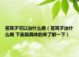 苍耳子可以治什么病（苍耳子治什么病 下面就具体的来了解一下）