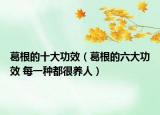 葛根的十大功效（葛根的六大功效 每一种都很养人）