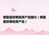 哪里是猕猴桃原产地国内（哪里是猕猴桃原产地）