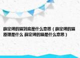 薛定谔的猫到底是什么意思（薛定谔的猫原理是什么 薛定谔的猫是什么意思）