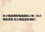 杜小雨是哪部电视剧的人物（杜小雨扮演者 杜小雨是谁扮演的）