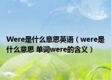 Were是什么意思英语（were是什么意思 单词were的含义）