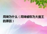 周琦为什么（周琦被称为大魔王的原因）