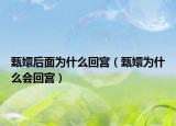甄嬛后面为什么回宫（甄嬛为什么会回宫）