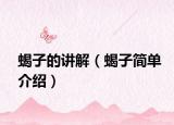 蝎子的讲解（蝎子简单介绍）