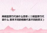 两根富贵竹代表什么意思（三根富贵竹代表什么 原来不同的根数代表不同的意义）