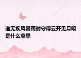 谁无疾风暴雨时守得云开见月明是什么意思