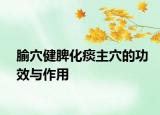 腧穴健脾化痰主穴的功效与作用