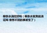 柳条水浇花好吗（柳条水发臭能浇花吗 意想不到的事发生了）