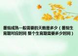 番茄成熟一般需要的天数是多少（番茄生育期对应时间 整个生育期需要多少时间）