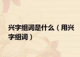 兴字组词是什么（用兴字组词）