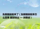 鱼眼睛鼓起来了（鱼眼睛鼓起来怎么回事 眼球突出 — 突眼症）
