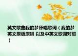 英文歌曲我的梦原唱歌词（我的梦英文原版原唱 以及中英文歌词对照）