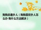 狗狗总是扑人（狗狗喜欢扑人怎么办 有什么方法解决）