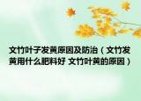 文竹叶子发黄原因及防治（文竹发黄用什么肥料好 文竹叶黄的原因）