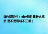 EBV弱阳性（ebv阳性是什么意思 是不是说明不正常）