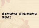 庄的组词组词（庄组词 语文组词知识点）