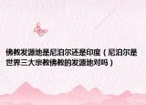佛教发源地是尼泊尔还是印度（尼泊尔是世界三大宗教佛教的发源地对吗）