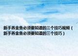 新手养金鱼必须要知道的三个技巧视频（新手养金鱼必须要知道的三个技巧）
