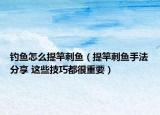 钓鱼怎么提竿刺鱼（提竿刺鱼手法分享 这些技巧都很重要）
