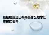 低密度脂蛋白偏高是什么意思低密度脂蛋白
