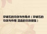 穿破石的功效与作用点（穿破石的功效与作用 活血的功效很强）