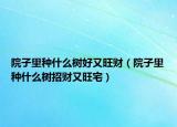 院子里种什么树好又旺财（院子里种什么树招财又旺宅）