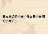 基本常识的拼音（什么是拼音 理论小常识）