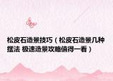 松皮石造景技巧（松皮石造景几种摆法 极速造景攻略值得一看）