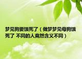 梦见狗要饿死了（做梦梦见母狗饿死了 不同的人竟然含义不同）