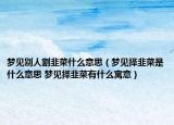 梦见别人割韭菜什么意思（梦见择韭菜是什么意思 梦见择韭菜有什么寓意）