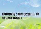 椰蓉有啥用（椰蓉可以做什么 椰蓉的用途有哪些）