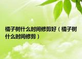 橘子树什么时间修剪好（橘子树什么时间修剪）