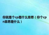 你就是个cp是什么意思（你个cpn意思是什么）