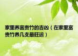 家里养富贵竹的吉凶（在家里富贵竹养几支最旺运）