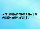 兰花土都是树皮石头怎么浇水（夏天兰花树皮植料如何浇水）