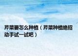 芹菜要怎么种植（芹菜种植绝招 动手试一试吧）