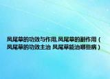 凤尾草的功效与作用,凤尾草的副作用（凤尾草的功效主治 凤尾草能治哪些病）