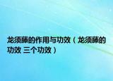 龙须藤的作用与功效（龙须藤的功效 三个功效）