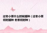 过冬小葱什么时候播种（过冬小葱何时播种 冬葱何时种）