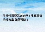 牛慢性胃炎怎么治疗（牛真胃炎治疗方案 如何预防）