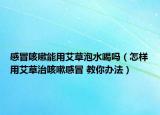 感冒咳嗽能用艾草泡水喝吗（怎样用艾草治咳嗽感冒 教你办法）