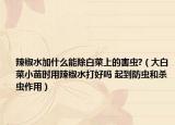 辣椒水加什么能除白菜上的害虫?（大白菜小苗时用辣椒水打好吗 起到防虫和杀虫作用）