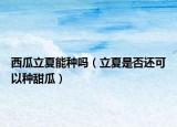 西瓜立夏能种吗（立夏是否还可以种甜瓜）