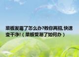 菜板发霉了怎么办?教你两招,快速变干净!（菜板受潮了如何办）