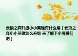 云顶之弈升级小小英雄有什么用（云顶之弈小小英雄怎么升级 来了解下小可爱们吧）