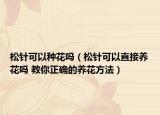 松针可以种花吗（松针可以直接养花吗 教你正确的养花方法）